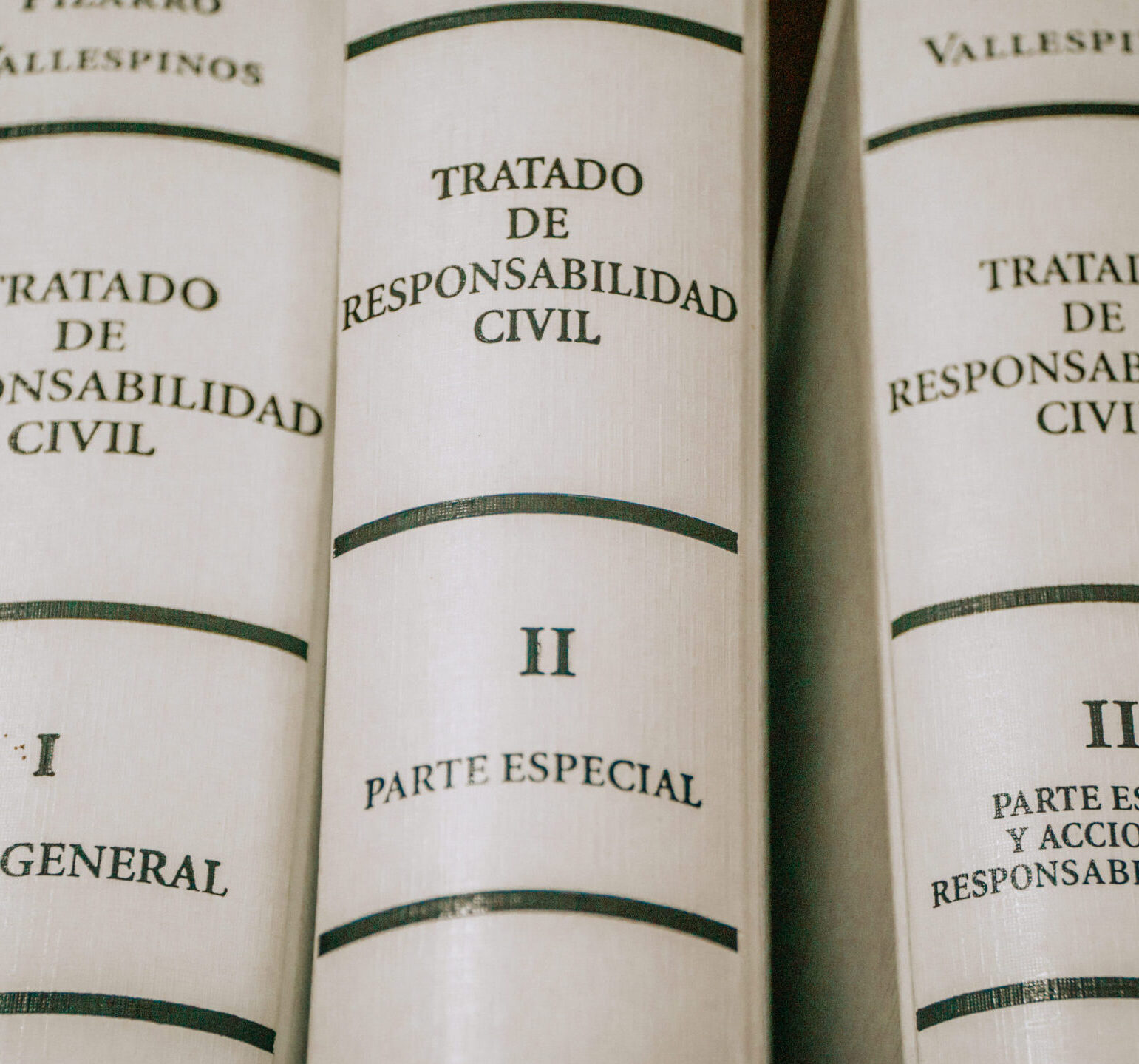 Ley Provincial Nº 10.636 de “Responsabilidad del Estado”